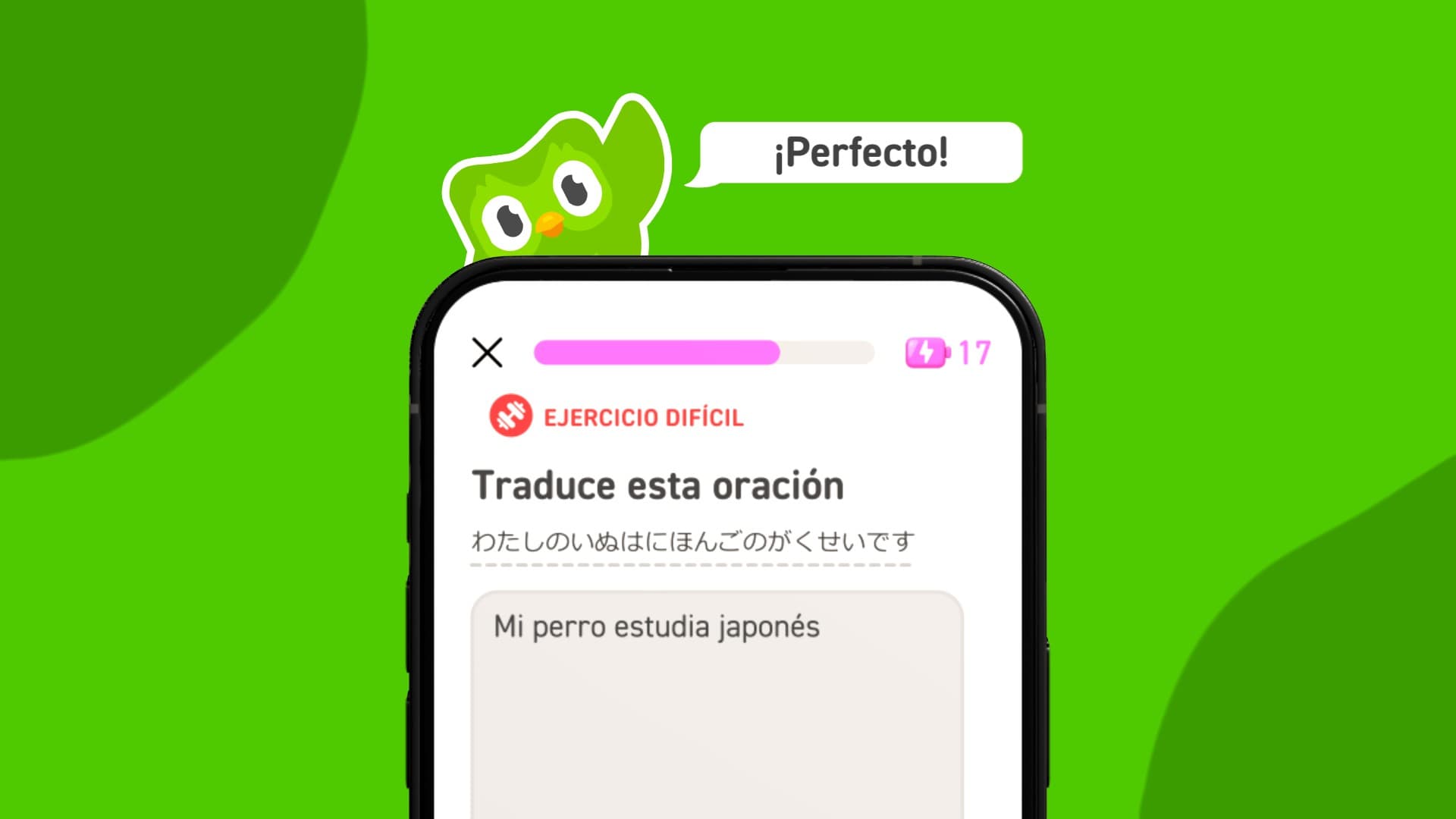 Animación Duolingo